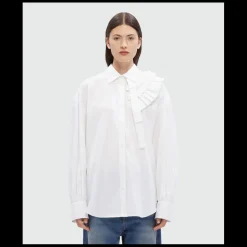 MSGM